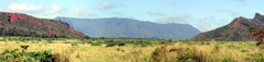 Mount Waieleele Panorama